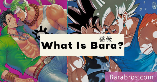 What is Bara Art? - Bara Bros