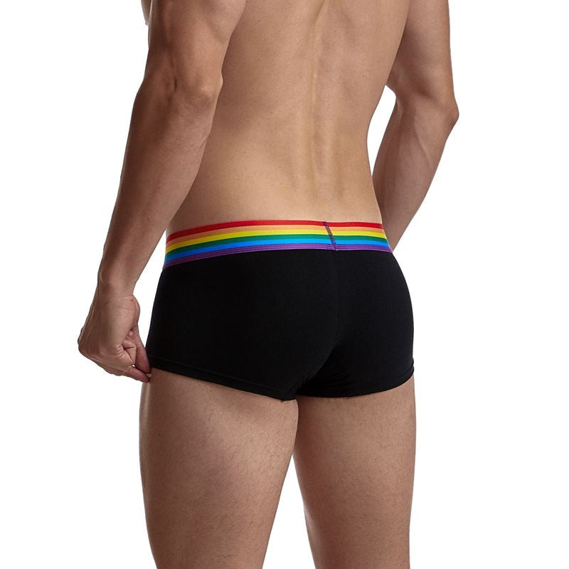 Gay Pride Classic Cotton Sports Trunk Briefs