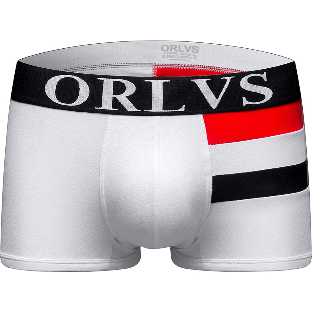 Bold Line Sexy Boxer Trunks Underwear - Bara Bros