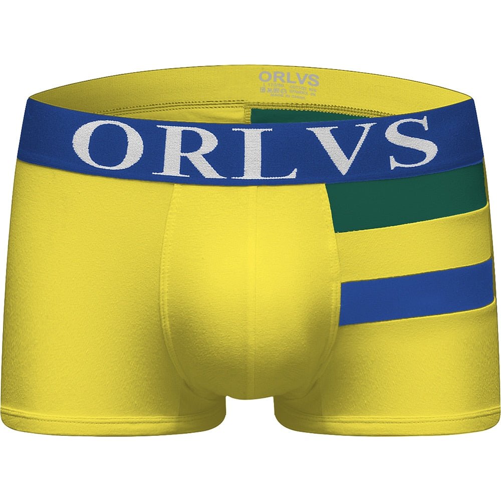 Bold Line Sexy Boxer Trunks Underwear - Bara Bros