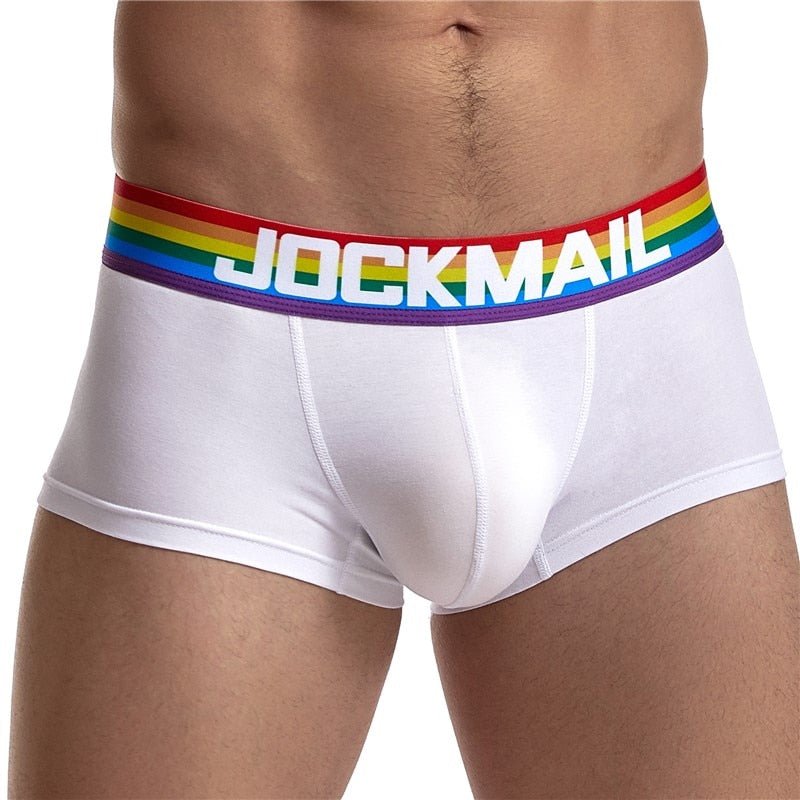 Gay Pride Classic Cotton Sports Trunk Briefs - Barabros