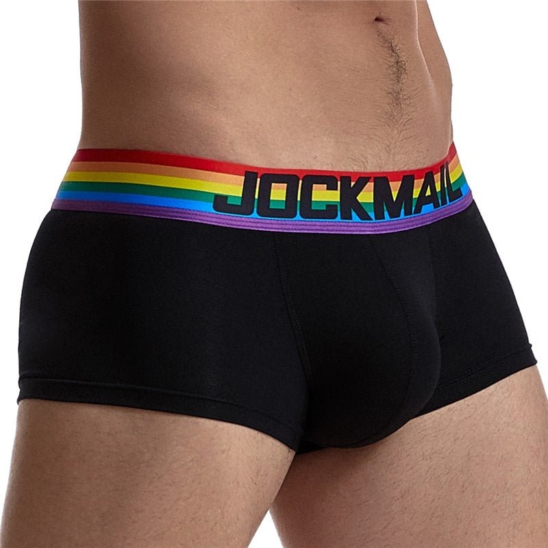 Gay Pride Classic Cotton Sports Trunk Briefs - Barabros