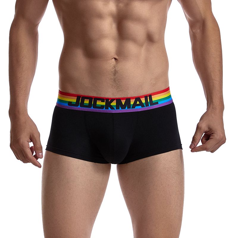 Gay Pride Classic Cotton Sports Trunk Briefs - Barabros