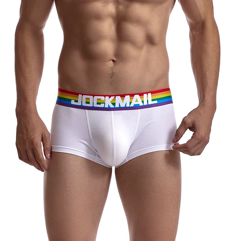 Gay Pride Classic Cotton Sports Trunk Briefs - Barabros