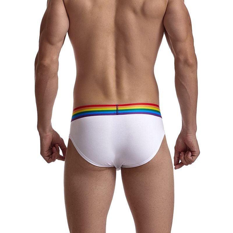 JOCKMAIL Sexy Gay Pride Cotton Briefs Underwear - Bara Bros