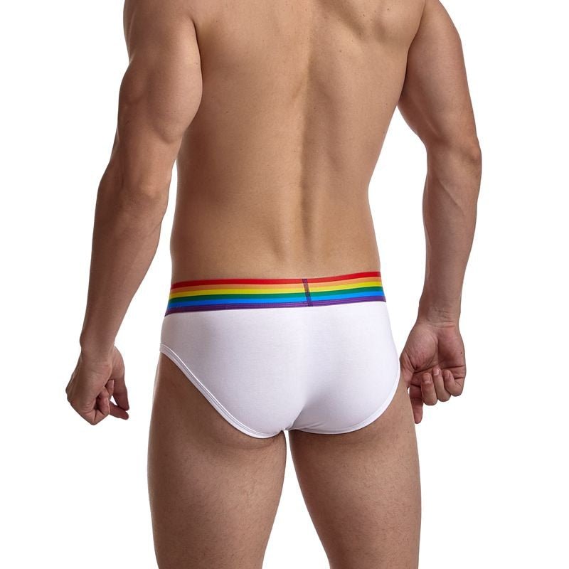 JOCKMAIL Sexy Gay Pride Cotton Briefs Underwear - Bara Bros