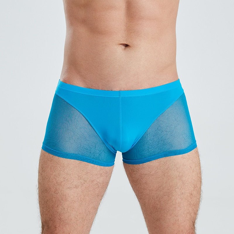 Men Translucent Sexy Mesh Boxer Shorts Underwear - Bara Bros