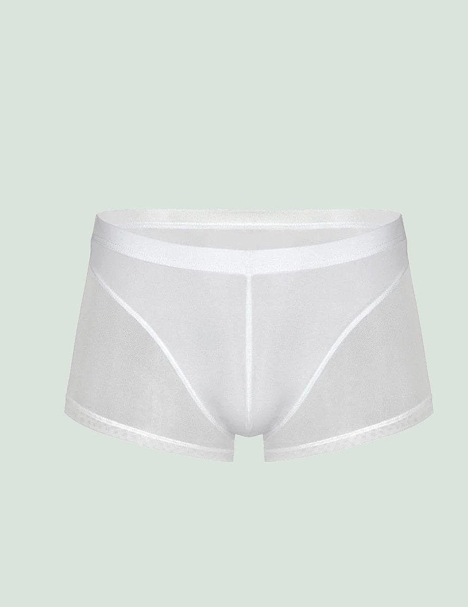 Men Translucent Sexy Mesh Boxer Shorts Underwear - Bara Bros