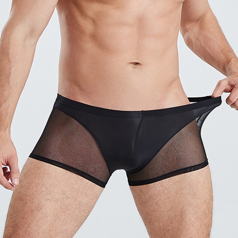 Men Translucent Sexy Mesh Boxer Shorts Underwear - Bara Bros