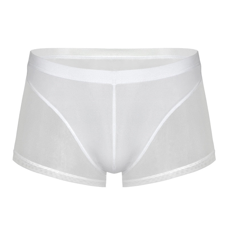 Men Translucent Sexy Mesh Boxer Shorts Underwear - Bara Bros