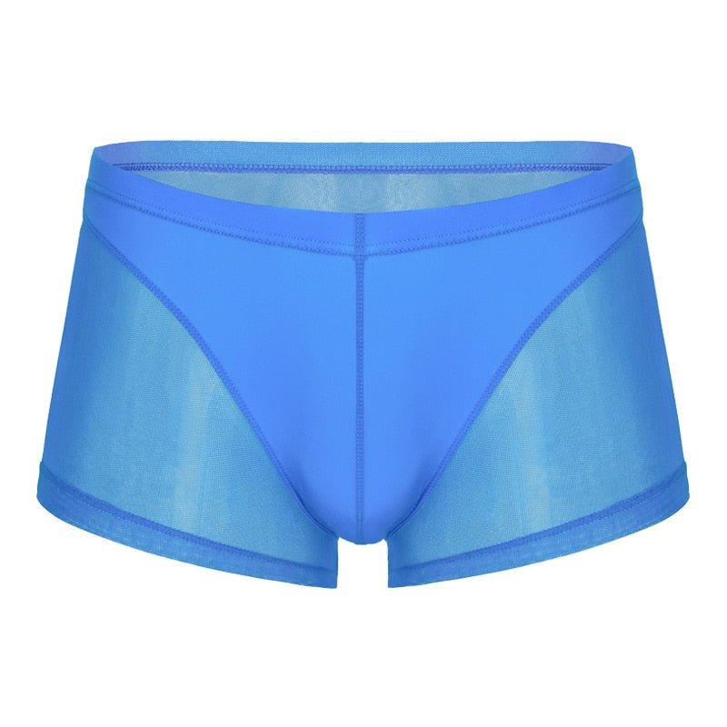 Men Translucent Sexy Mesh Boxer Shorts Underwear - Bara Bros