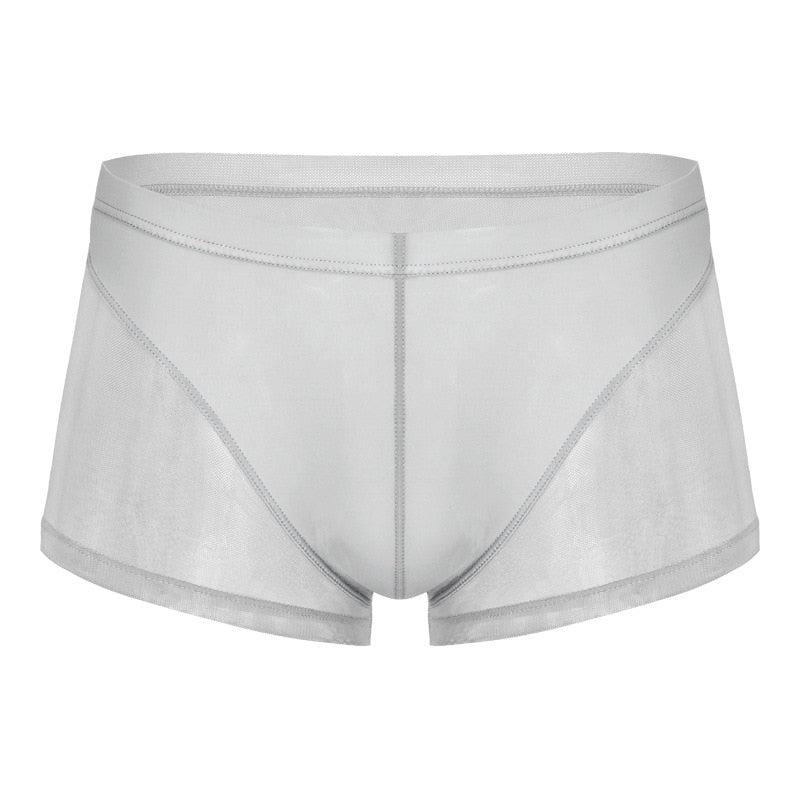 Men Translucent Sexy Mesh Boxer Shorts Underwear - Bara Bros