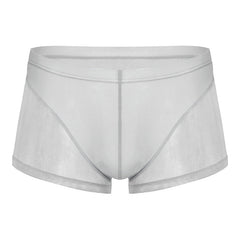 Men Translucent Sexy Mesh Boxer Shorts Underwear - Bara Bros