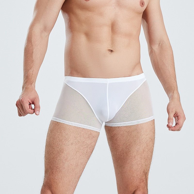 Men Translucent Sexy Mesh Boxer Shorts Underwear - Bara Bros