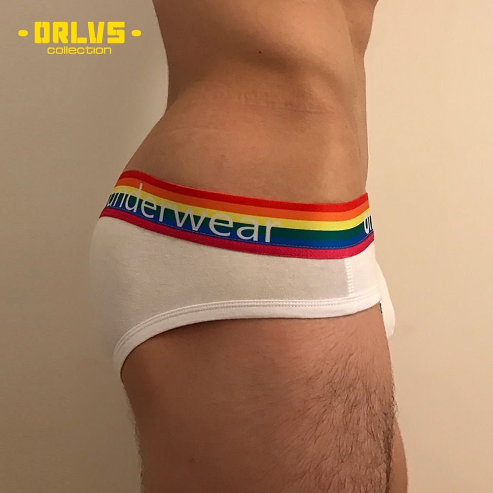 Rainbow Gay Pride Underwear Briefs - Bara Bros